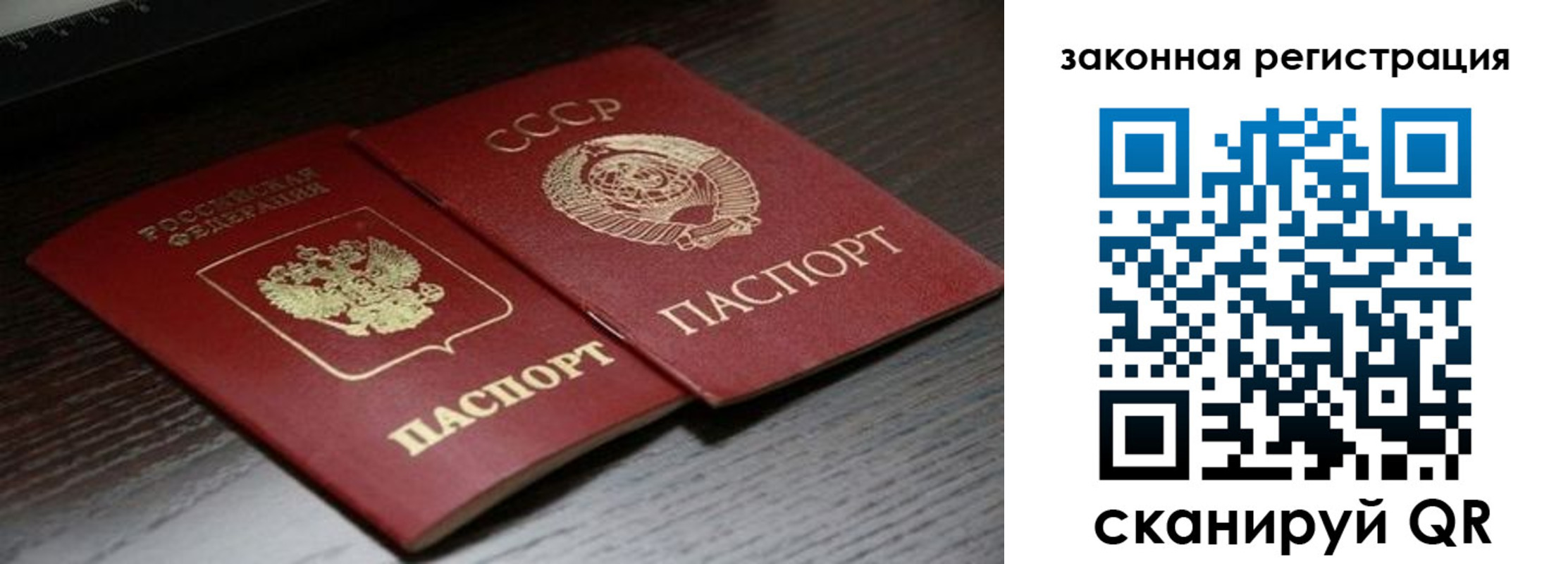 прописка поиск в Черняховске